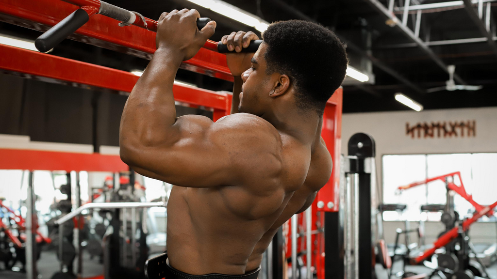 Bryant Pullup Bar
