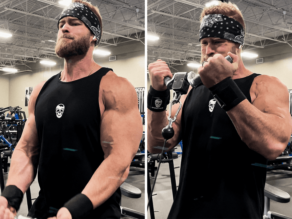 cable curl biceps