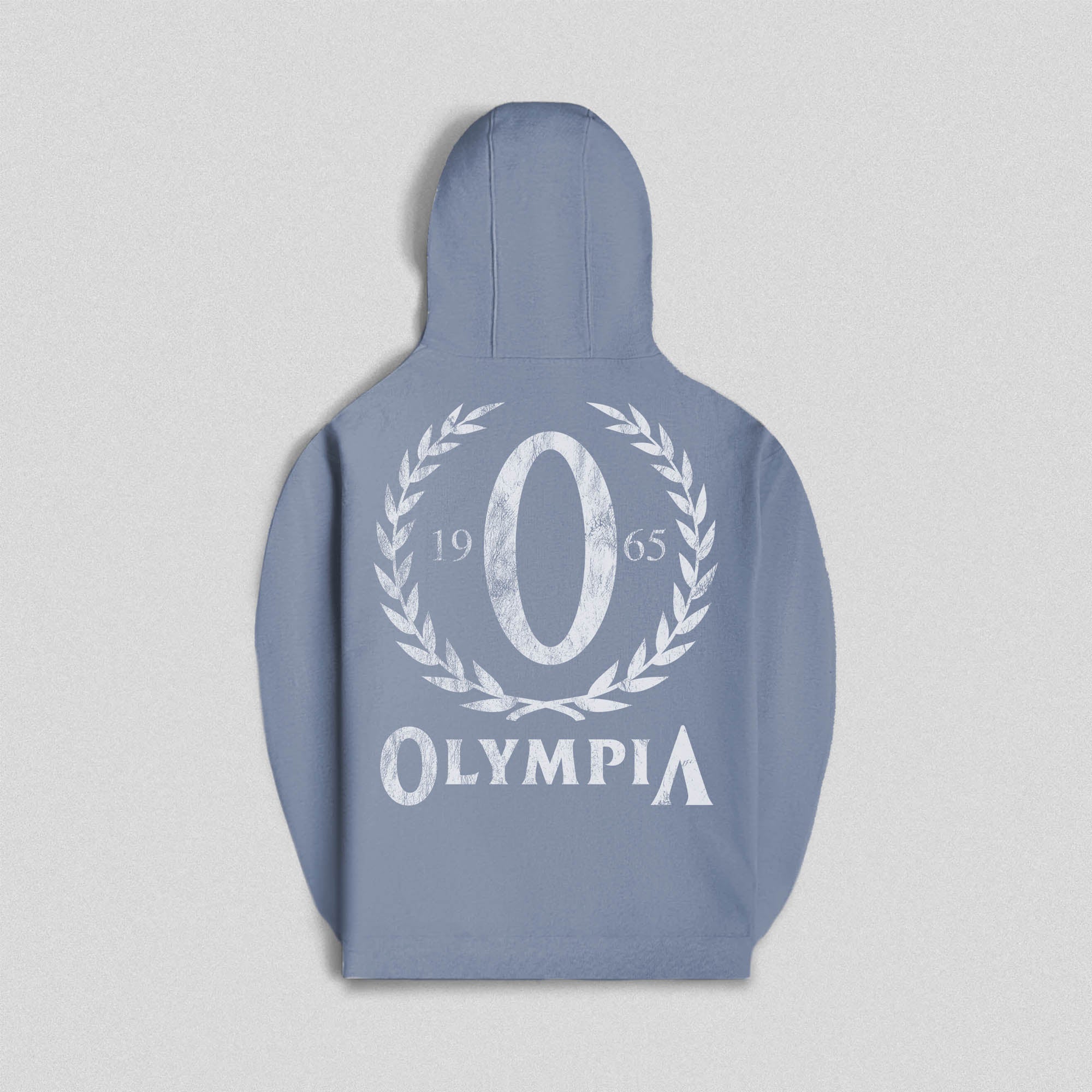 Back view of the pale blue Olympia hoodie featuring a large distressed white 